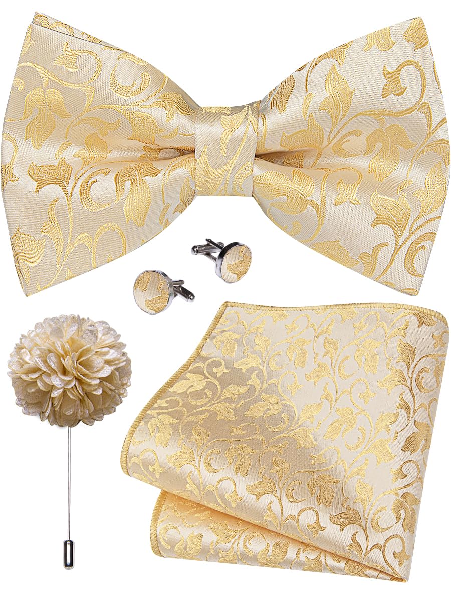 YourTies Silk Bow Ties for Men Pre-Tied Adjustable Paisley Bowtie Set