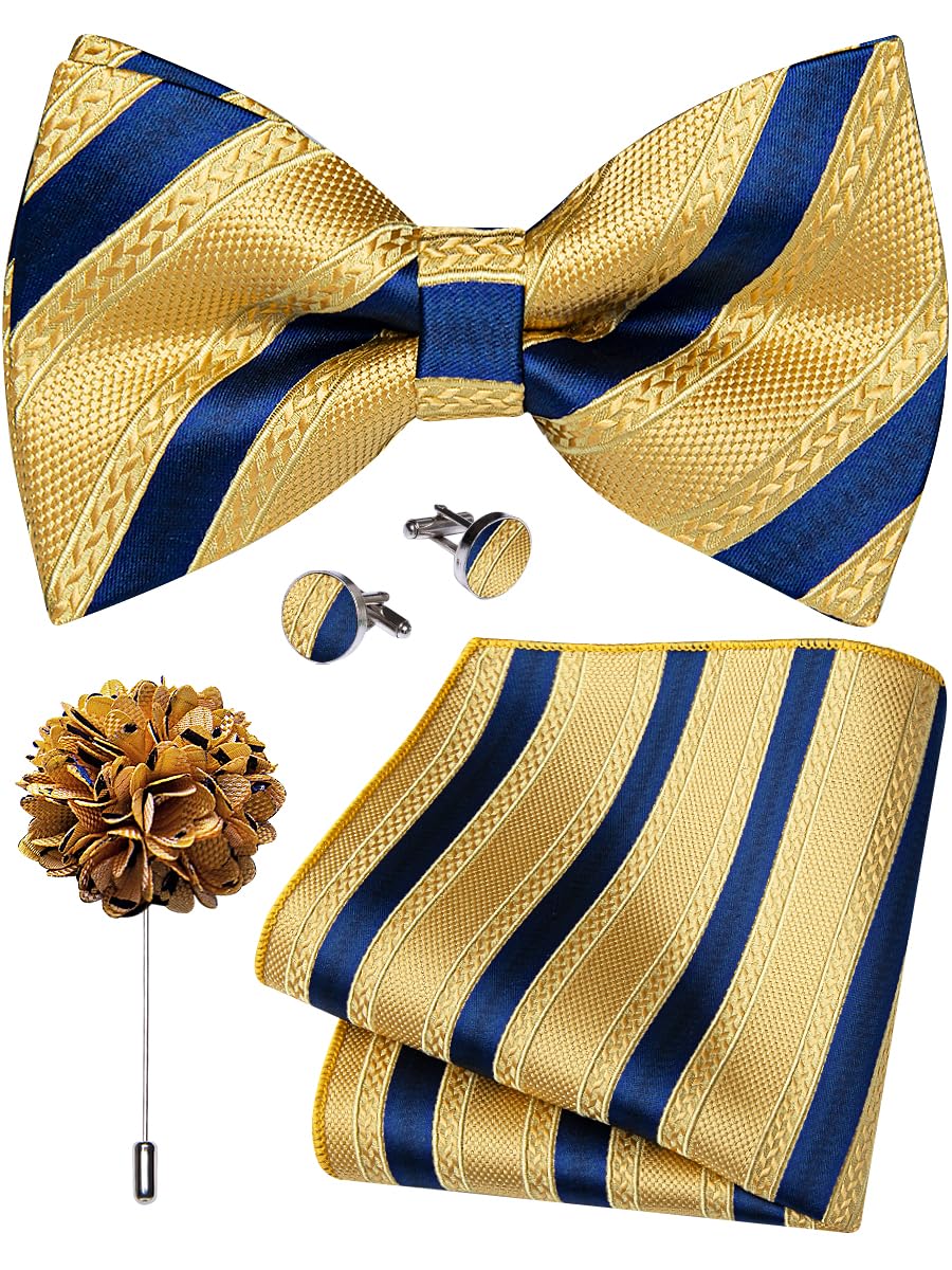 YourTies Silk Bow Ties for Men Pre-Tied Adjustable Paisley Bowtie Set