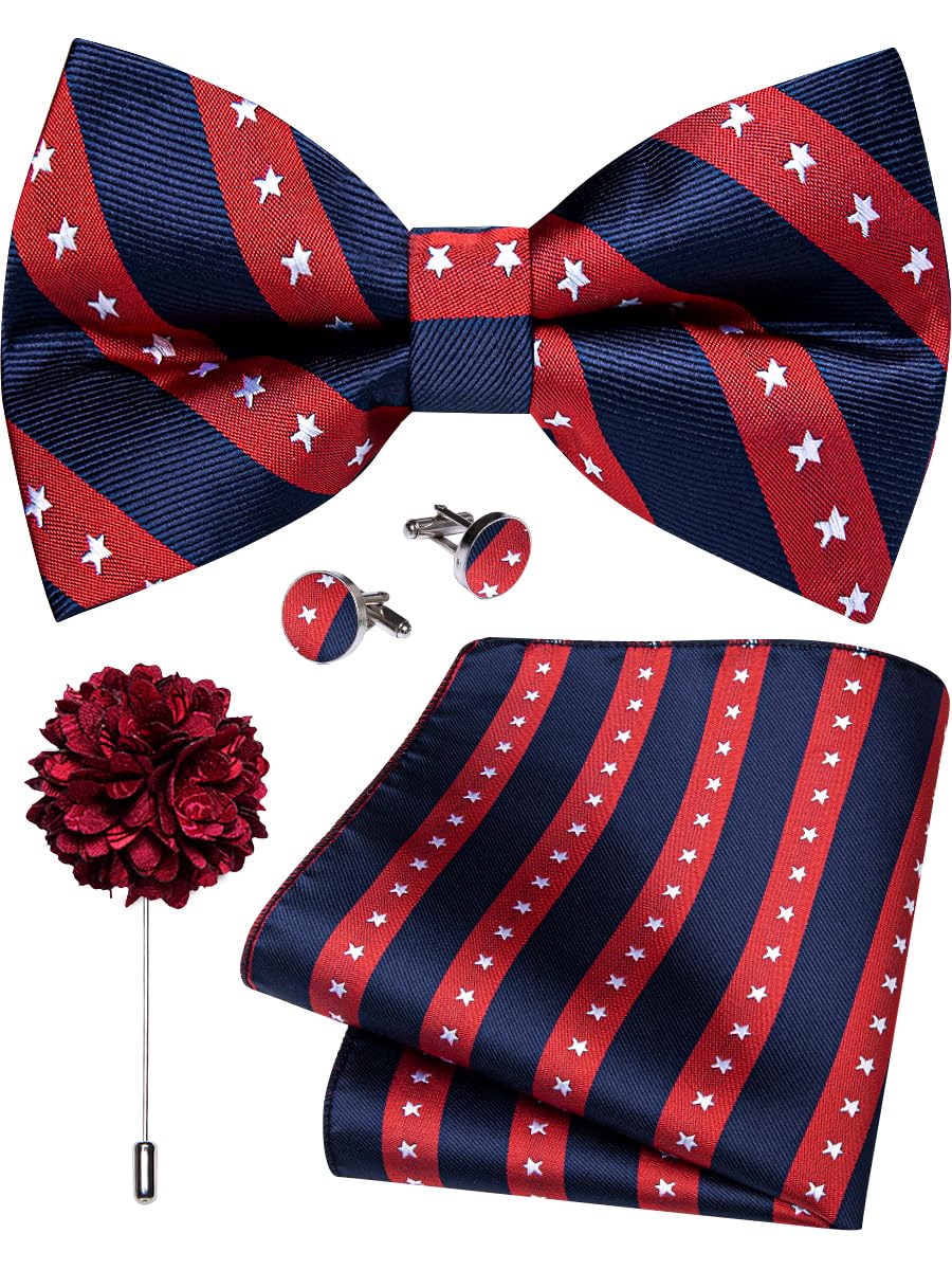 YourTies Silk Bow Ties for Men Pre-Tied Adjustable Paisley Bowtie Set