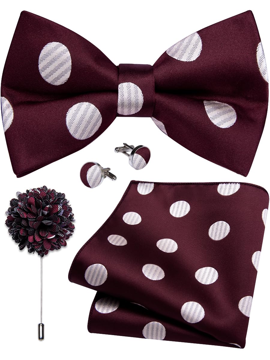 YourTies Silk Bow Ties for Men Pre-Tied Adjustable Paisley Bowtie Set