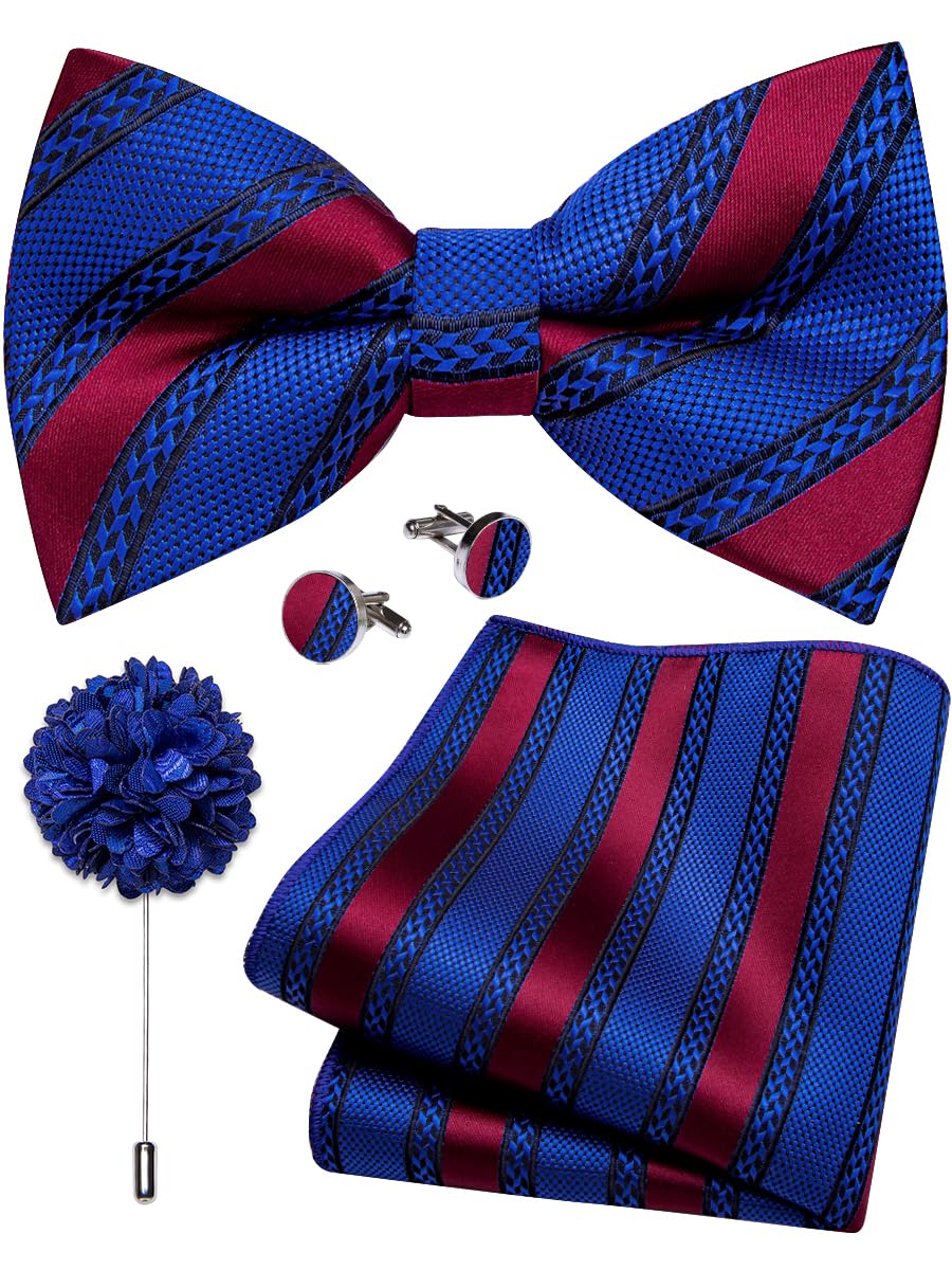 YourTies Silk Bow Ties for Men Pre-Tied Adjustable Paisley Bowtie Set